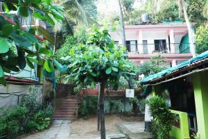 un piccolo albero di fronte a un edificio di The Valley Arambol ad Arambol