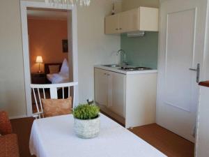 a small kitchen with a table with a plant on it at Holiday apartment with 1 bedroom in Aich