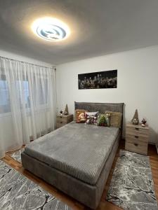 ein Schlafzimmer mit einem großen Bett und einem Fenster in der Unterkunft Apartament Central Ilie Balaci 15 in Craiova