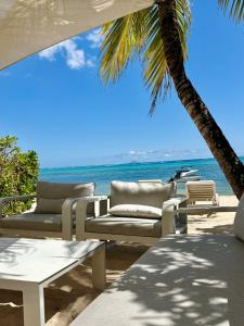 Phong cảnh thiên nhiên gần biệt thự