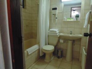 a bathroom with a toilet and a sink at Hotel HD Natales in Puerto Natales +77 photos