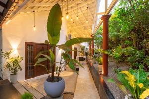 a large plant in a room with many plants at Mellow Yellow Ahangama in Ahangama