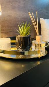 Nápoje v ubytování Blue Horizon Bed and Breakfast