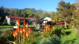 a garden with red flowers in a yard at The Sandcastle in Pohara