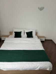 Afbeelding uit fotogalerij van Casa Venus in Sînmartin