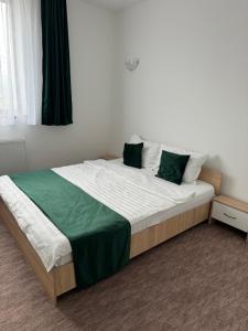 Afbeelding uit fotogalerij van Casa Venus in Sînmartin