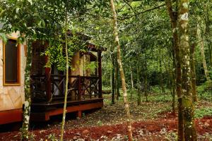 a tree house in the middle of the forest at Selva de Laurel in Puerto Iguazú