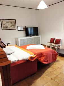 TV a/nebo společenská místnost v ubytování Nonno Nanni casa vacanze