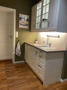 una cocina con fregadero y encimera en Brekkehagen, en Skien 35 fotos más