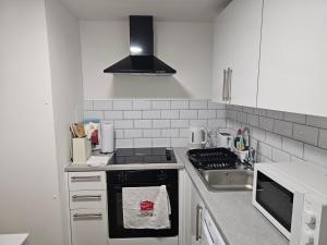 a white kitchen with a stove and a sink at Entire Flat in heart of Oxford in Oxford +18 photos