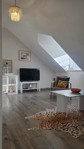 Μια τηλεόραση ή/και κέντρο ψυχαγωγίας στο Apartmán - Café Princ pod Hradem WiFi, KLIMA