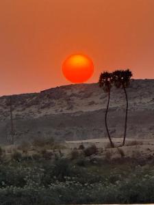 Amanecer o atardecer desde el barco o alrededores 1 fotos más