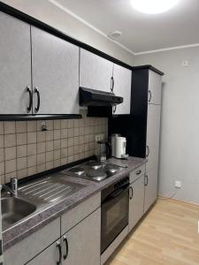 NiederdorlaStadt-Appartment Furth im Wald Drachenstich WLAN的带水槽和炉灶的厨房 顶部烤箱