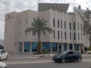 ein vor einem Gebäude mit einer Palme geparktes Auto in der Unterkunft Appartement cosy a Djerba in Houmt Souk