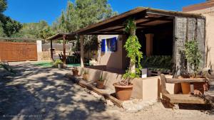 a small house with potted plants in a yard at Casita 12 in Playa Migjorn