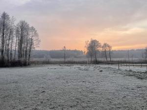 Sercem i Kopytem في Taszewko: حقل ثلجي مغطى بالشجر وسياج