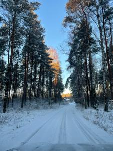 Το Sercem i Kopytem τον χειμώνα