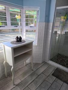 a bathroom with a white sink and a shower at Casa Mia in Pietermaritzburg