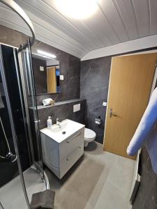 a bathroom with a sink and a toilet and a shower at First Apartment - Aare Jungfrau AG in Grindelwald