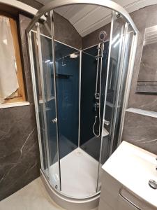 a shower with a glass enclosure in a bathroom at First Apartment - Aare Jungfrau AG in Grindelwald