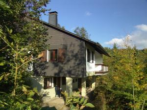 a house in the middle of a forest at Ferienhaus Schanze19 in Schmallenberg