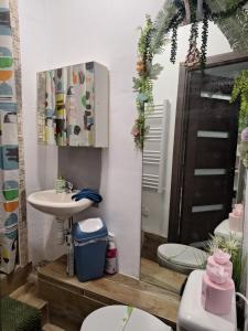 Photo de la galerie de l'établissement Galamus Bonheur - L'art de choisir, à Saint-Paul-de-Fenouillet