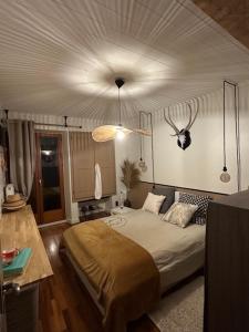 Φωτογραφία από το άλμπουμ του les iles σε La Celle-sous-Gouzon