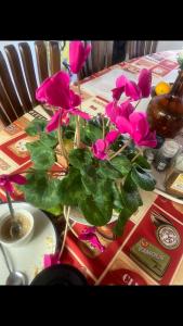 Jídlo v ubytování v soukromí nebo okolí