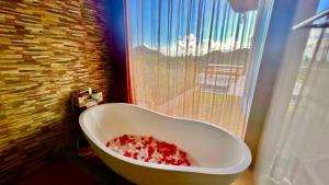 Fotografie z fotogalerie ubytování Sinaga House Lombok v destinaci Tanjungkarang