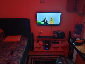 TV/trung tâm giải trí tại Goshen heights