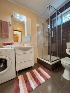 y baño con lavadora y ducha. en RELAXING Apartments LUCE, en Čilipi