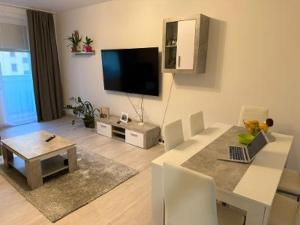 Un televizor și/sau centru de divertisment la Panelak na Maju +6 fotografii