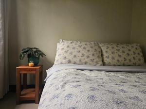 een bed met twee kussens en een plant op een tafel bij Westlinehomestay in Puerto Princesa City