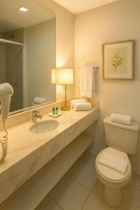une salle de bains avec lavabo, toilettes et miroir dans l'établissement Bahia Executivo Iguatemi Businees, à Salvador