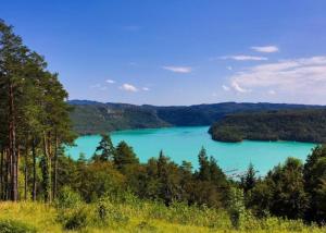 a blue lake in the middle of a forest at Appartement chaleureux familial in Saint-Laurent-en-Grandvaux