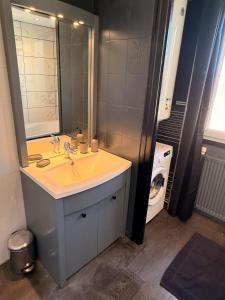 Un baño con lavabo, espejo y lavadora. en Appartement chaleureux familial, en Saint-Laurent-en-Grandvaux 49 fotos más