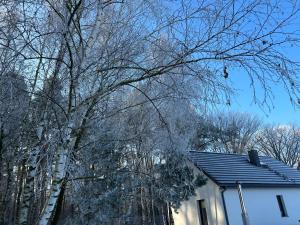 莫斯纳Domek Las&Luz Moszna BALIA的树被房子旁边的雪覆盖