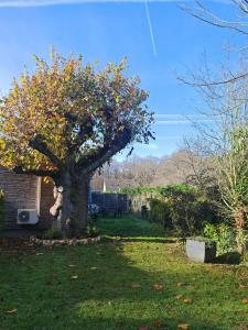 En have udenfor charmante maisonnette & jardin non clos proche forêt