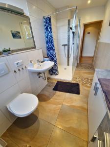 梅泽堡Ferienwohnung Fröhlich的带马桶、水槽和淋浴的浴室