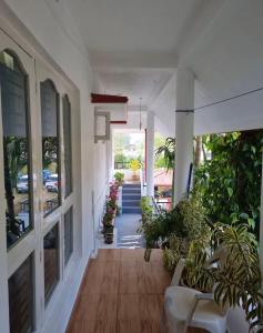 En have udenfor GURI Homestay