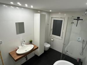 un bagno con lavandino, WC e doccia di FlexStay Room 9 a Karlsruhe