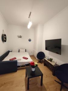 TV a/nebo společenská místnost v ubytování Stylish apartment, top center with private Sauna