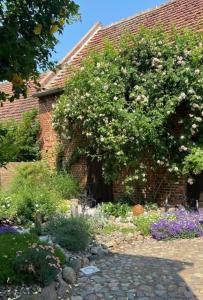 Κήπος έξω από το Ferienwohnung zur Alten Mühle in Rühstädt