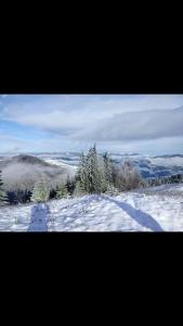 een besneeuwde heuvel met bomen in de verte bij Оселя тихої долини in Chërnaya Rechka