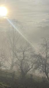 een mistig veld met bomen met de zon op de achtergrond bij Оселя тихої долини in Chërnaya Rechka