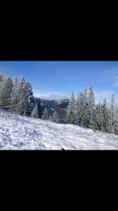 een met sneeuw bedekt veld met bomen in de verte bij Оселя тихої долини in Chërnaya Rechka