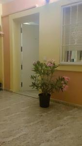 Φωτογραφία από το άλμπουμ του CASA LUTHI Costa Blanca σε Orihuela Costa