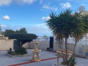 a courtyard with two palm trees and a fountain at CASA LUTHI Costa Blanca in Orihuela Costa