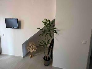 ein Wohnzimmer mit einem TV und einer Topfpflanze in der Unterkunft Eftyhia's Cozy apartment Patmos in Skala