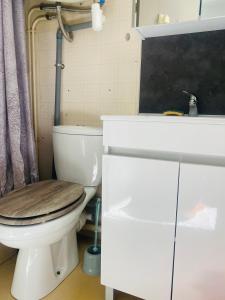 ein Badezimmer mit Toilette und Waschbecken in der Unterkunft Appartement in Lamalou-les-Bains + 7 Fotos